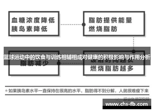 篮球运动中的饮食与训练相辅相成对健康的积极影响与作用分析