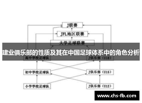 建业俱乐部的性质及其在中国足球体系中的角色分析