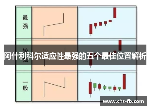 阿什利科尔适应性最强的五个最佳位置解析