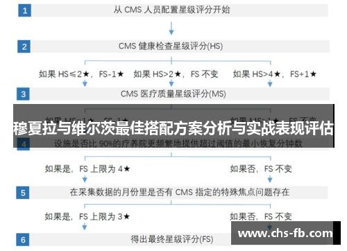 穆夏拉与维尔茨最佳搭配方案分析与实战表现评估