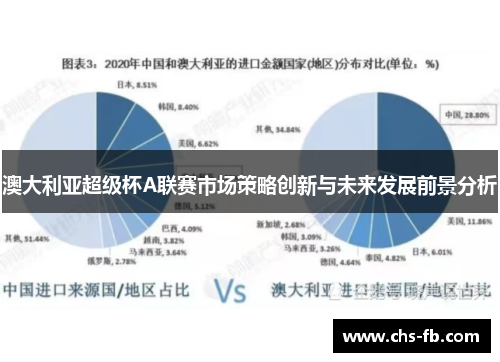 澳大利亚超级杯A联赛市场策略创新与未来发展前景分析